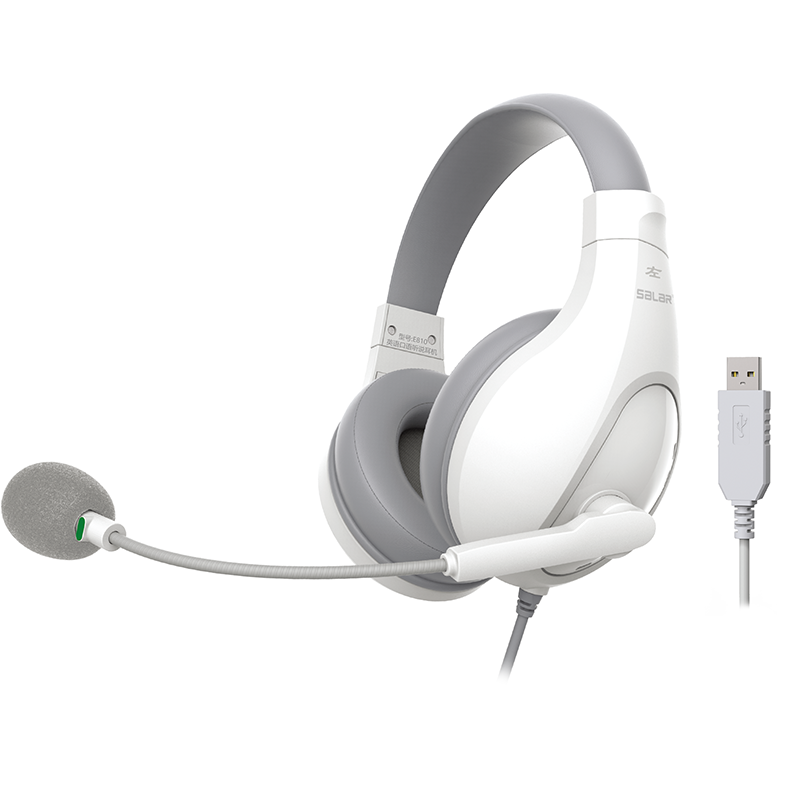 E810